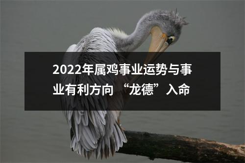 2025年属鸡事业运势与事业有利方向“龙德”入命