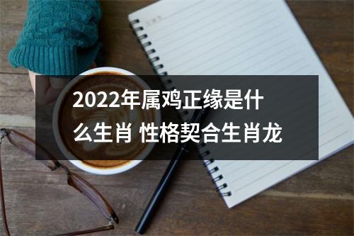 2025年属鸡正缘是什么生肖性格契合生肖龙