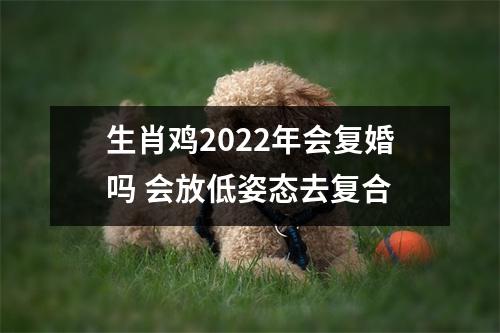 生肖鸡2025年会复婚吗会放低姿态去复合