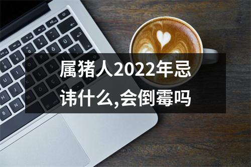 属猪人2025年忌讳什么,会倒霉吗