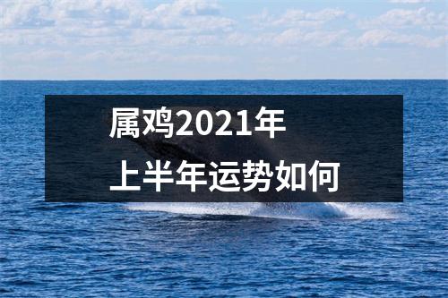 属鸡2025年上半年运势如何