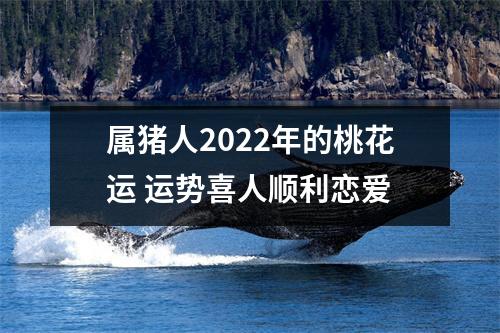 属猪人2025年的桃花运运势喜人顺利恋爱