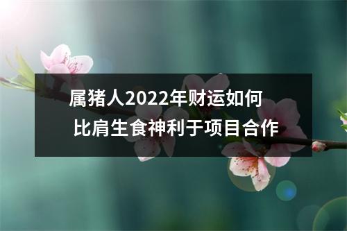 属猪人2025年财运如何比肩生食神利于项目合作