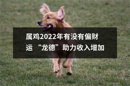 属鸡2025年有没有偏财运“龙德”助力收入增加