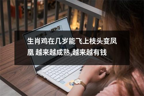 生肖鸡在几岁能飞上枝头变凤凰越来越成熟,越来越有钱