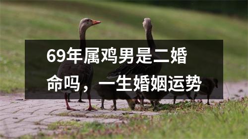 69年属鸡男是二婚命吗，一生婚姻运势