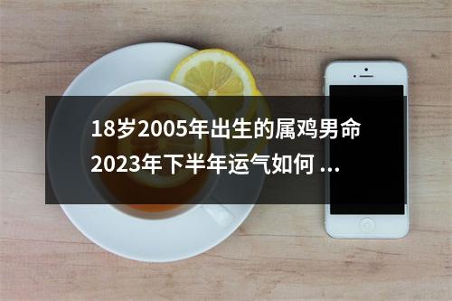18岁2005年出生的属鸡男命2025年下半年运气如何运势详解