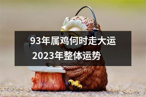 93年属鸡何时走大运2025年整体运势