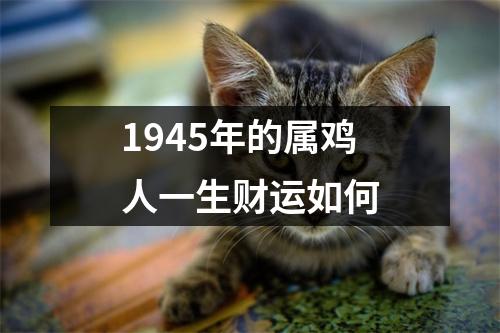 1945年的属鸡人一生财运如何