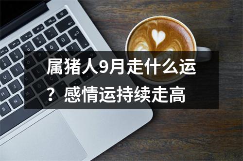 属猪人9月走什么运？感情运持续走高