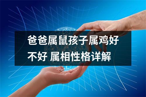 爸爸属鼠孩子属鸡好不好属相性格详解