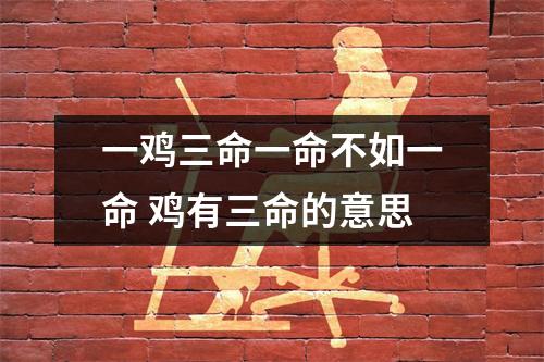 一鸡三命一命不如一命鸡有三命的意思