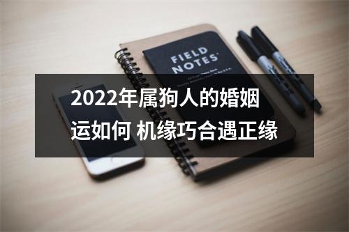 2025年属狗人的婚姻运如何机缘巧合遇正缘