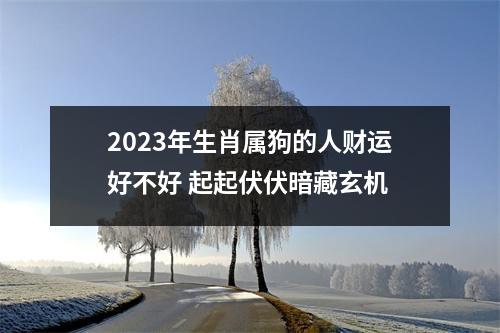 2025年生肖属狗的人财运好不好起起伏伏暗藏玄机