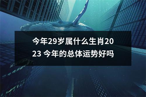 今年29岁属什么生肖2025今年的总体运势好吗