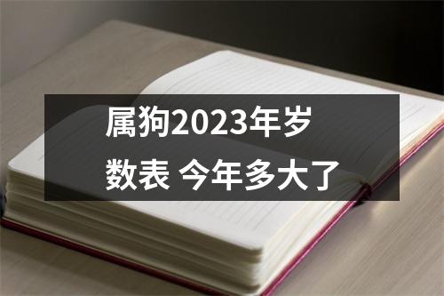 属狗2025年岁数表今年多大了