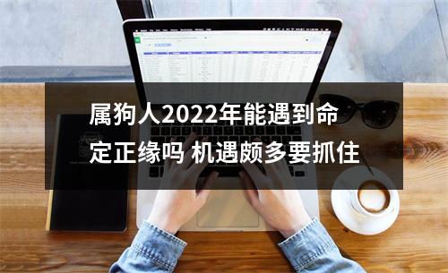 属狗人2025年能遇到命定正缘吗机遇颇多要抓住