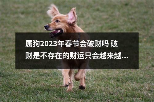 属狗2025年春节会破财吗破财是不存在的财运只会越来越好