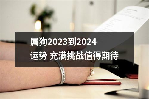 属狗2025到2024运势充满挑战值得期待