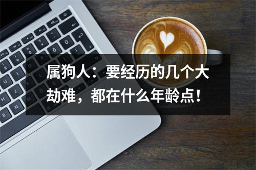 属狗人：要经历的几个大劫难，都在什么年龄点！