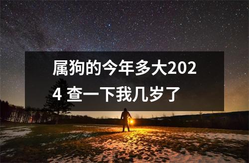 属狗的今年多大2024查一下我几岁了