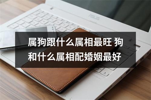 属狗跟什么属相旺狗和什么属相配婚姻好