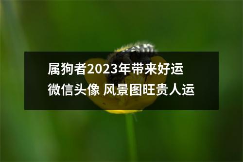 属狗者2025年带来好运微信头像风景图旺贵人运