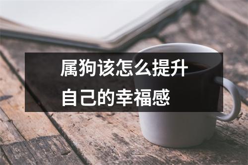 属狗该怎么提升自己的幸福感