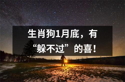 生肖狗1月底，有“躲不过”的喜！