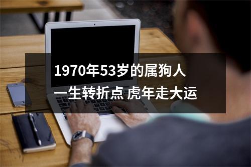 1970年53岁的属狗人一生转折点虎年走大运