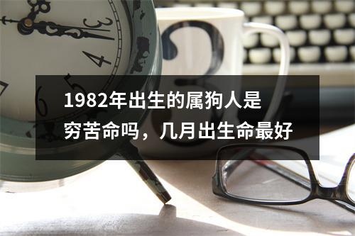 1982年出生的属狗人是穷苦命吗，几月出生命好