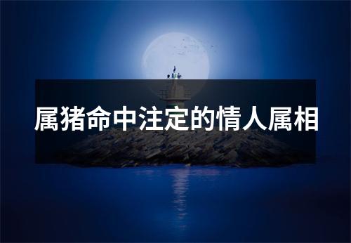 属猪命中注定的情人属相