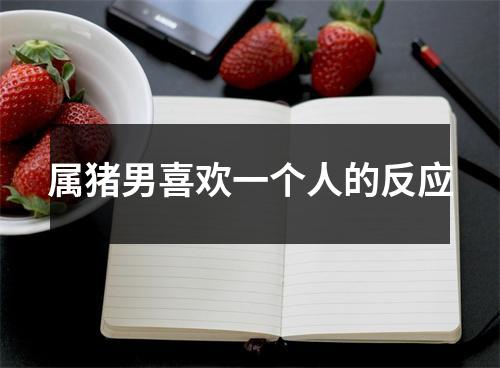 属猪男喜欢一个人的反应