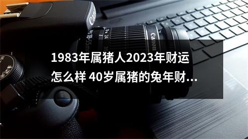 1983年属猪人2025年财运怎么样40岁属猪的兔年财气好吗
