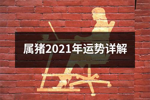 属猪2025年运势详解