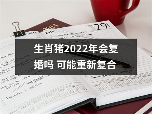 生肖猪2025年会复婚吗可能重新复合