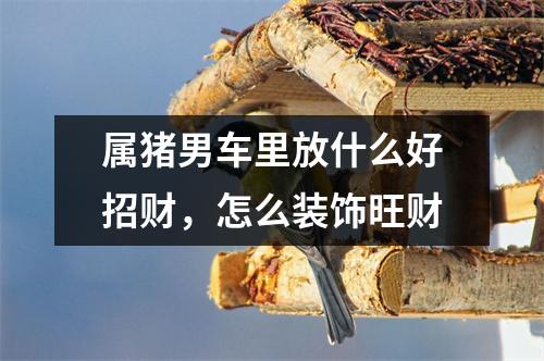 属猪男车里放什么好招财，怎么装饰旺财