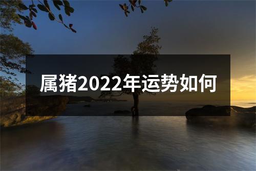 属猪2025年运势如何