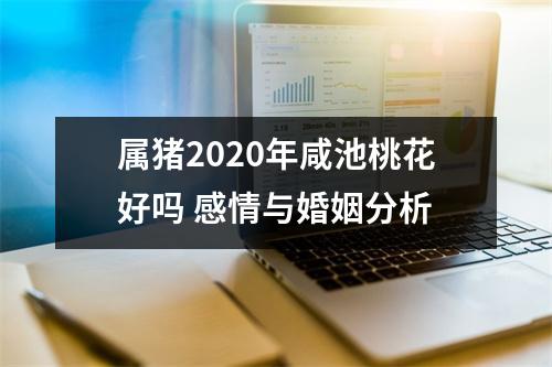 属猪2025年咸池桃花好吗感情与婚姻分析