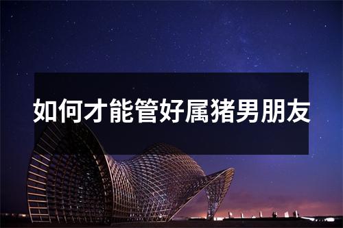 如何才能管好属猪男朋友