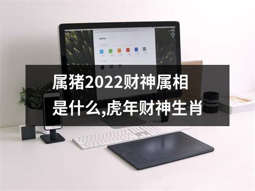 属猪2025财神属相是什么,虎年财神生肖