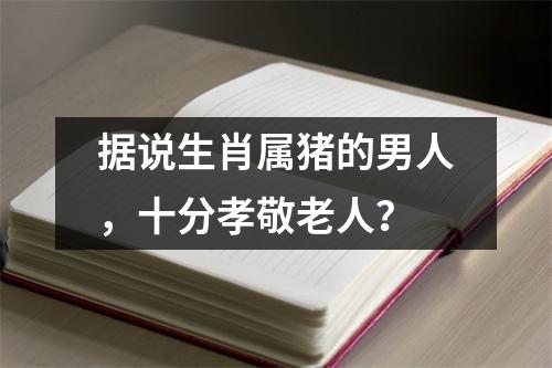 据说生肖属猪的男人，十分孝敬老人？