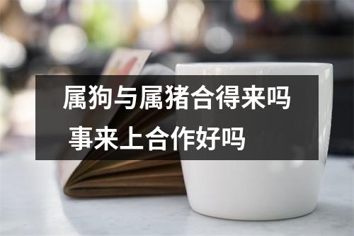 属狗与属猪合得来吗事来上合作好吗
