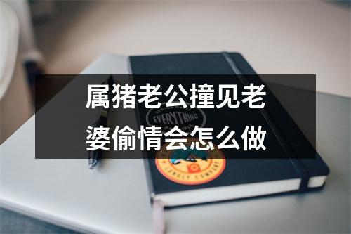 属猪老公撞见老婆偷情会怎么做