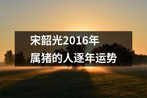 宋韶光2016年属猪的人逐年运势
