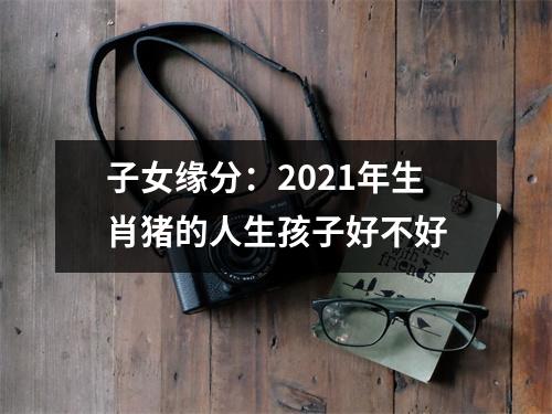 子女缘分：2025年生肖猪的人生孩子好不好