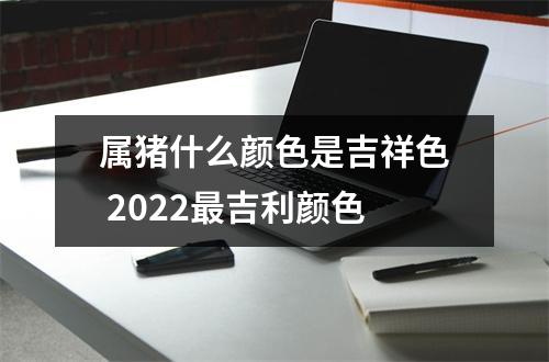属猪什么颜色是吉祥色2025吉利颜色