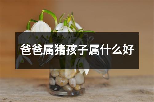 爸爸属猪孩子属什么好