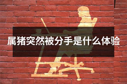 属猪突然被分手是什么体验