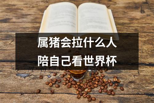 属猪会拉什么人陪自己看世界杯